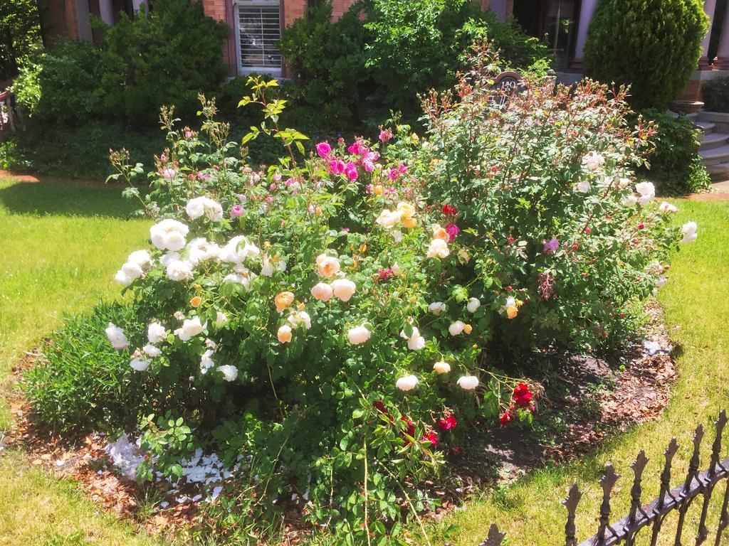 Historic Ellerbeck Mansion Bed & Breakfast Солт Лейк Сити Екстериор снимка